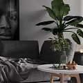 Gray Multi Seater Sofa With Throw Blanket Round Coffee Table And Large Green Plant