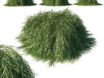 Lush Green Shrubs In Natural Garden Setting With Dense Foliage And Fresh Appearance 3d model
