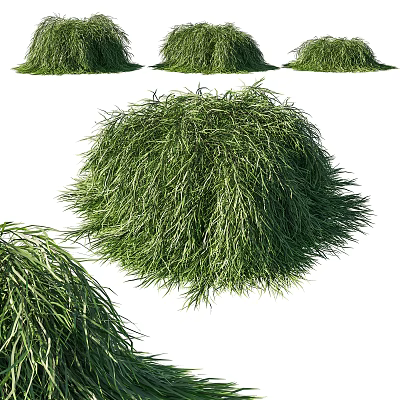 Lush Green Shrubs In Natural Garden Setting With Dense Foliage And Fresh Appearance 3d model
