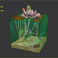 Transparent Cube Container With Pink Water Lily Green Lotus Leaves Aquatic Plants Sand And Pebbles