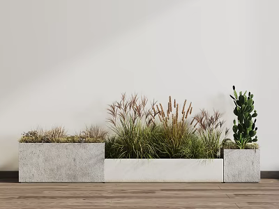 Bonsai Potted Plants With Various Green Grasses In Concrete Planters On Wooden Floor 3d model