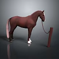 A brown horse tied to a wooden post with gray background and reflective ground