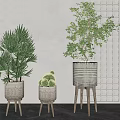 Different Potted Plants With Woven Texture Pots Slender Leg Stands And Light Wall Lattice Background