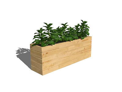 Lush Green Potted Plants In Wooden Rectangular Planter For Home Garden 3d model