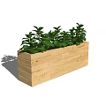 Lush Green Potted Plants In Wooden Rectangular Planter For Home Garden