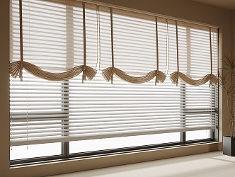 Modern Cloth Blinds Roller Blinds 3d model