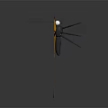 Yellow Butterfly With Black Spots On Spread Wings And Reflection On Gray Background