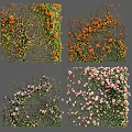 Blooming Colorful Vines With Orange Purple Pink Flowers In Square Panels