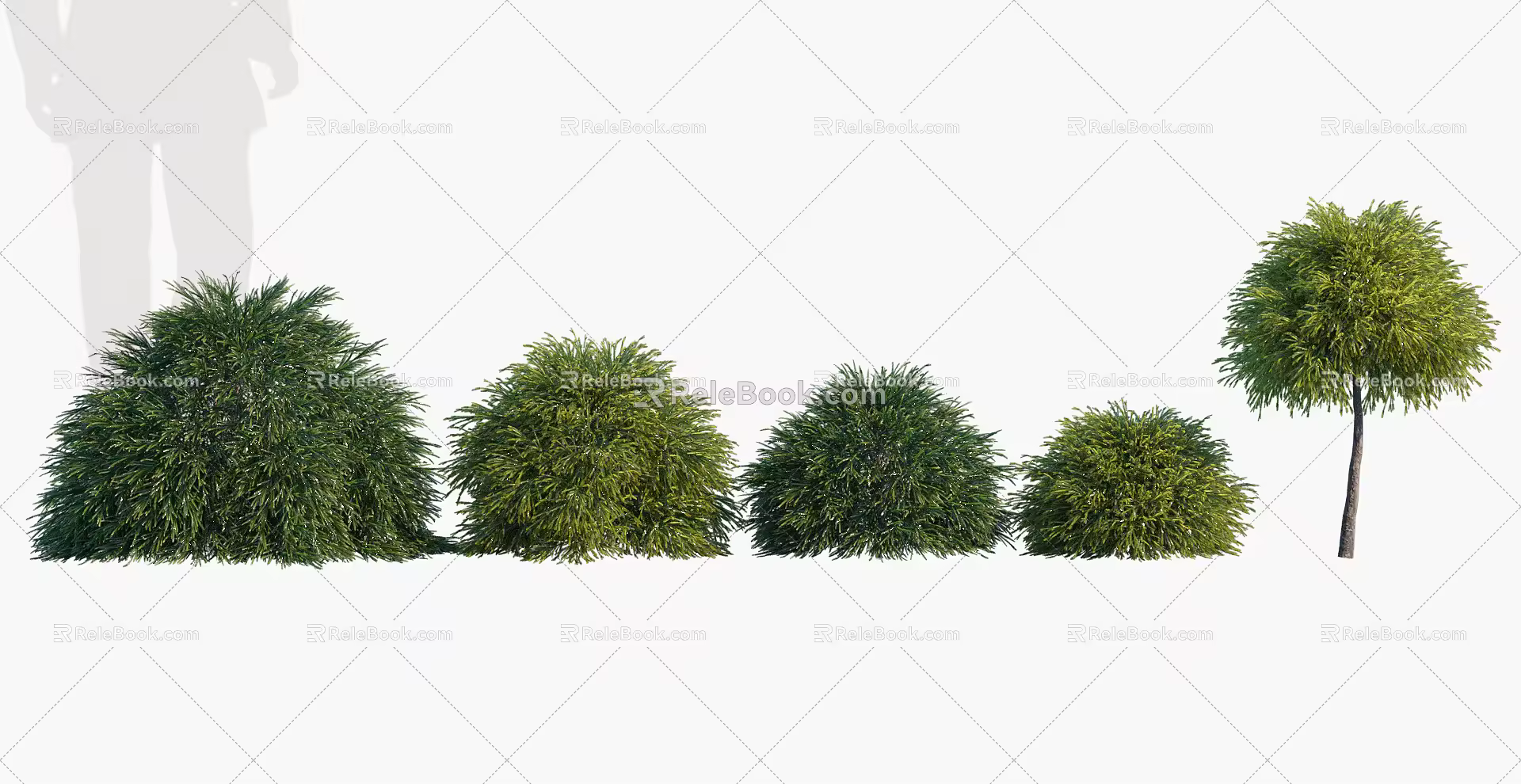 Modern Shrub Trees 3d model