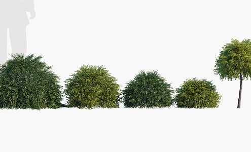 Modern Shrub Trees 3d model