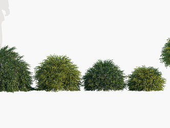 Modern Shrub Trees 3d model