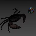 Whole Fresh Seafood Crab With Colorful Rubik's Cube On Gray Surface