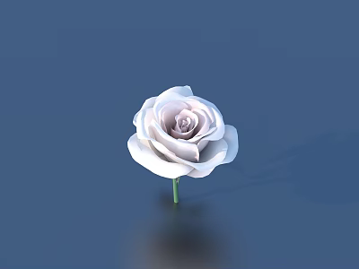 White Rose With Green Stem And Layered Petals On Dark Blue Background Shadow And Reflection 3d model