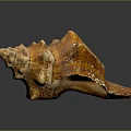 Ornate Conch Shell Sculpture With Natural Texture And Detailed Carving