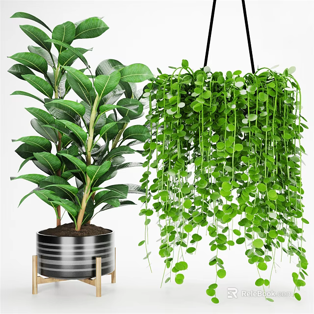Lush Green Hanging Basket Plants with Trailing Leaves for Indoor Home Decor 3d model 