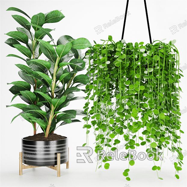 Modern Hanging Basket Green Plant Potted Plant model