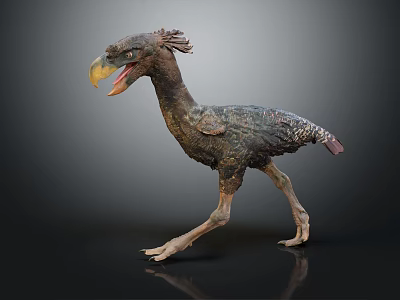 Prehistoric Flying Bird 3D Model with Standing Posture Detailed Feathers and Large Beak on Dark Background 3d model