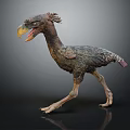 Prehistoric Flying Bird 3D Model with Standing Posture Detailed Feathers and Large Beak on Dark Background