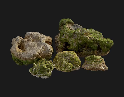Natural Stone and Wood Decorative Elements With Green Moss and Textured Surfaces 3d model