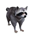 Realistic Raccoon With Gray Fur And Striped Tail In Standing Posture