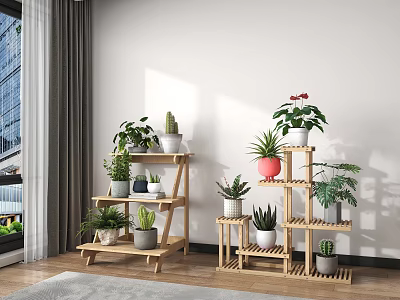 Wooden Plant Shelves With Various Potted Succulents And Green Plants In Bright Indoor Room With Window 3d model