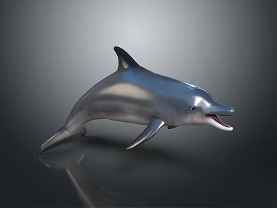 Realistic 3D Dolphin Model in Leaping Pose With Open Mouth Shiny Skin on Dark Background 3d model