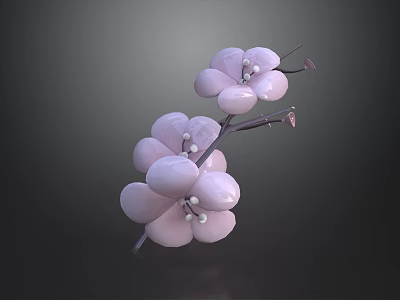 Blooming Pink Flower Plant With Slender Branch And Large Petals On Dark Background 3d model