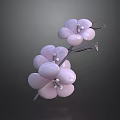 Blooming Pink Flower Plant With Slender Branch And Large Petals On Dark Background