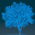 Scenic Blue Wireframe Tree Landscape with Line Structure and Reflection on Dark Background