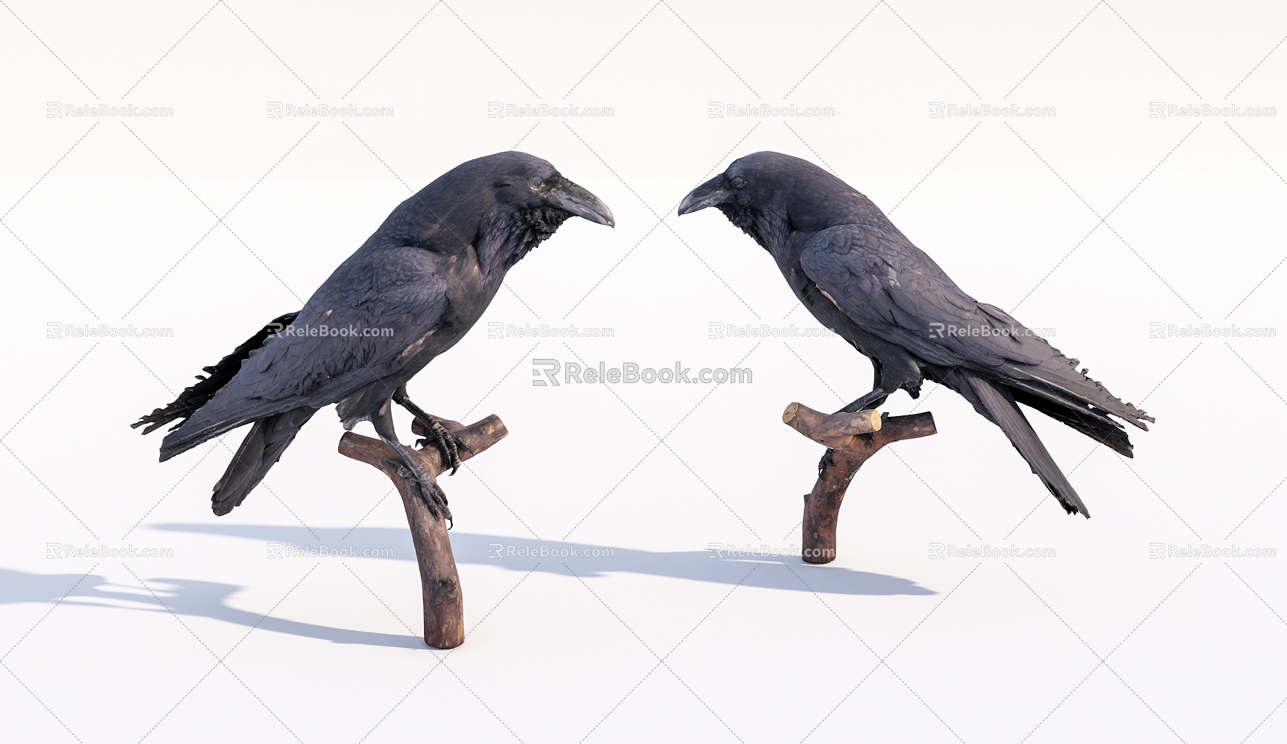 Modern Crow Birds 3d model