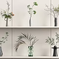Decorative Vases with Flowers and Green Leaves on White Shelves Various Shapes and Colors