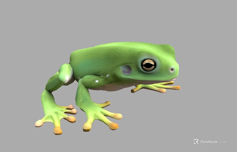Realistic 3D Rendering of Green Frog with Yellow Toes and Black Eyes on Gray Background 3d model 