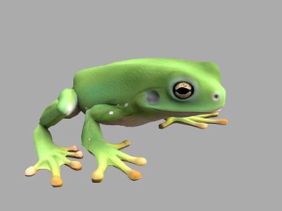 Realistic 3D Rendering of Green Frog with Yellow Toes and Black Eyes on Gray Background 3d model