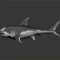 Realistic Gray Shark with Broad Head Dorsal Fins Open Mouth Sharp Teeth 3D Render