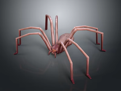 Realistic 3D Spider Model With Long Thin Legs And Detailed Brown Body 3d model