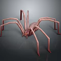 Realistic 3D Spider Model With Long Thin Legs And Detailed Brown Body