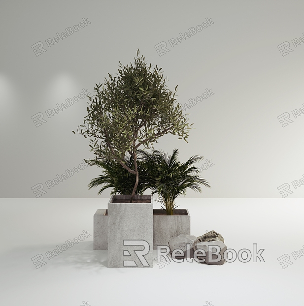 Plants model