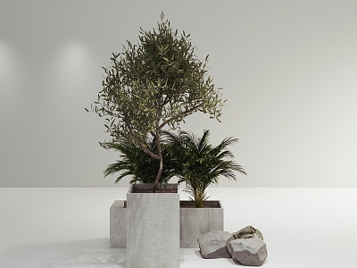 Plants model