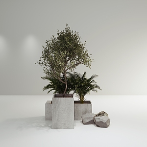 Plants 3d model