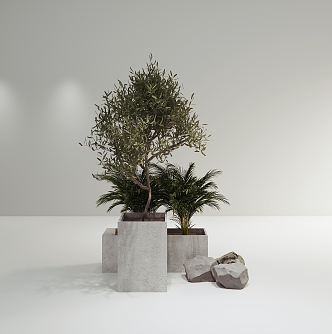 Plants 3d model