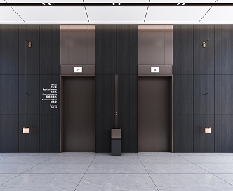 Style Elevator Aisle Corridor Public Area Features Office Building Elevator 3d model