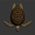 Turtle Cartoon Turtle Snapping Turtle Chickbill Turtle Reptile Cold Blooded Animal Reptile Class 3d model