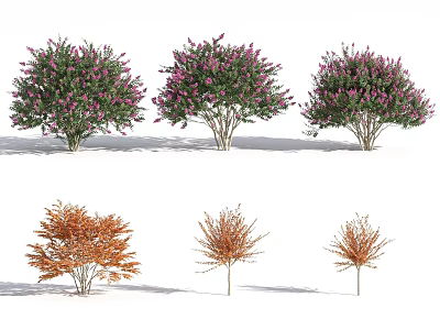 Various Types Of Garden Shrubs With Pink Flowers And Orange Leaves 3d model