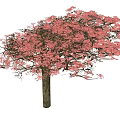 Sakura Trees Landscape Trees 3d model