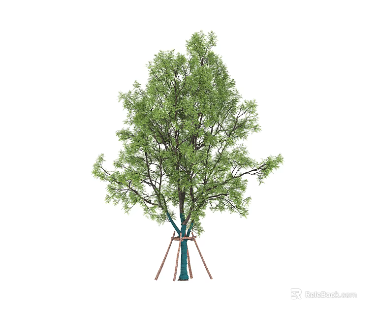 Healthy Green Leafy Arbor with Support Tripod and Strong Trunk 3d model