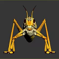 Vibrant Yellow Grasshopper With Red Wings On Dark Reflective Surface