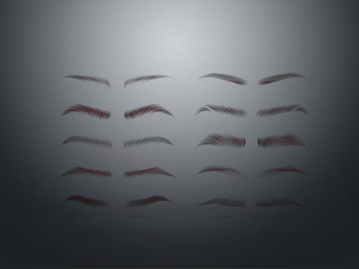 Neatly Arranged Eyebrow Shapes With Various Colors For Makeup Beauty Essentials 3d model