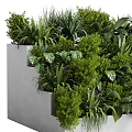 Lush Green Plants In White Tiered And Long Planters With Various Leaf Shapes
