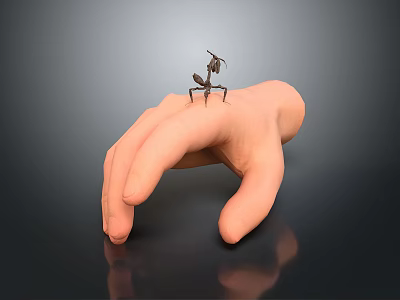 Detailed Ant Crawling On Human Hand With Realistic Skin And Leg Texture 3d model