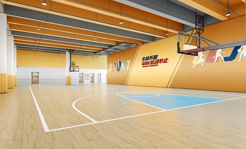 Modern overhead basketball court 3d model